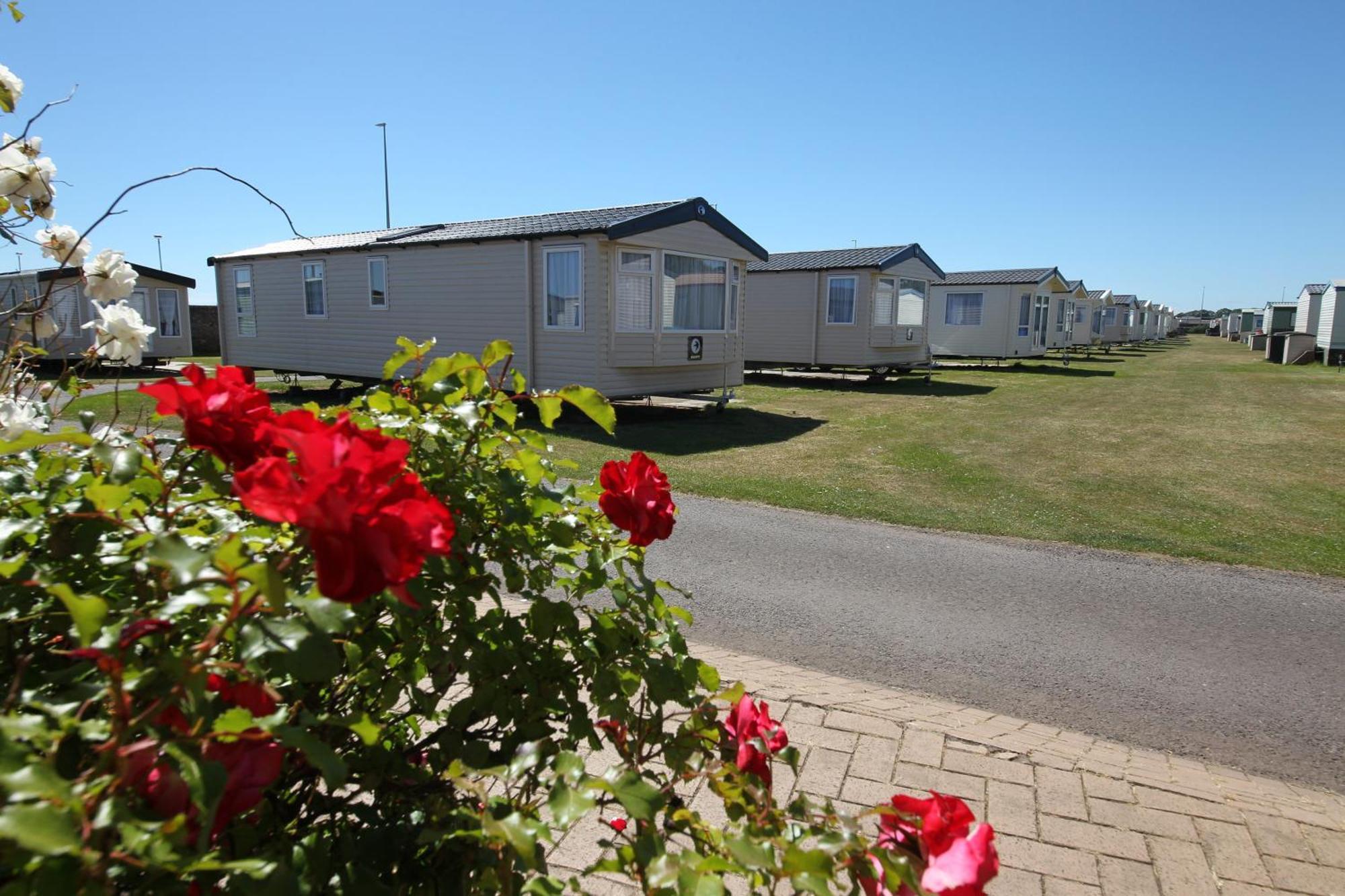 Red Lion Holiday Park Arbroath Zewnętrze zdjęcie